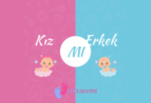 çin takvimi cinsiyet hesaplaması yap